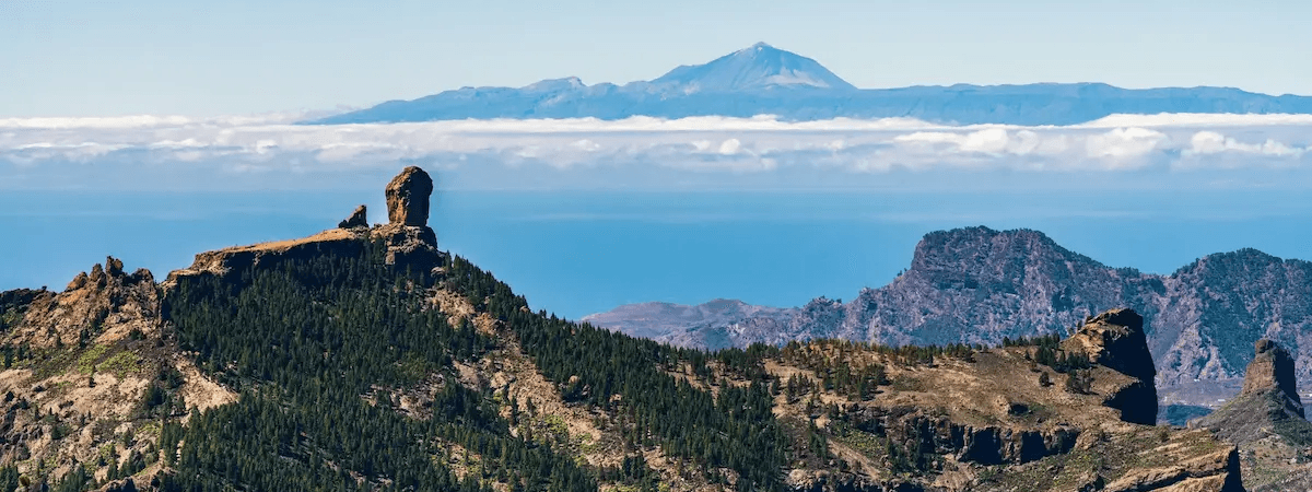 Categoría: Gran Canaria