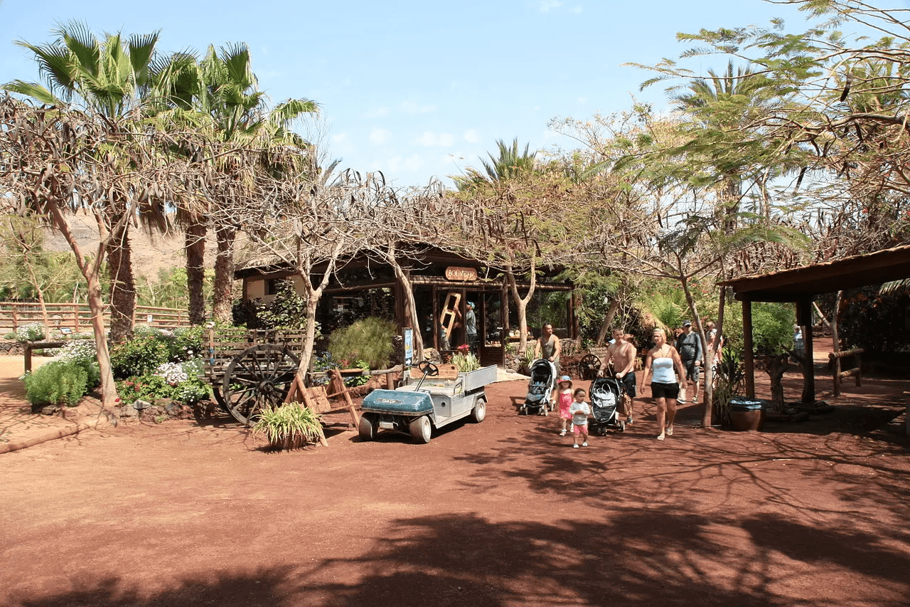 Imagen destacada del artículo: Oasis Wildlife Fuerteventura: Donde el Desierto Florece con Vida Salvaje
