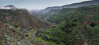 Senderismo en Gran Canaria: 15 Rutas Esenciales para Descubrir la Isla