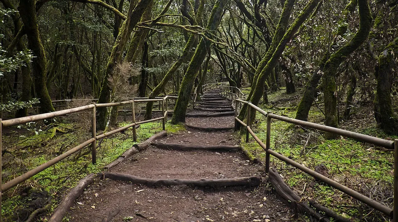 La Gomera a Pie: Descubriendo la Isla Mágica Paso a Paso Imagen destacada: La Gomera a Pie: Descubriendo la Isla Mágica Paso a Paso